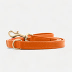 Laisse Premium Cuir Végan