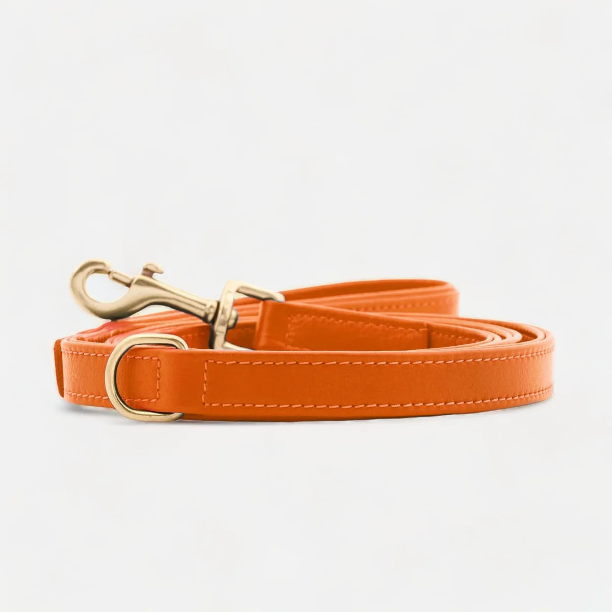 Laisse Premium Cuir Végan