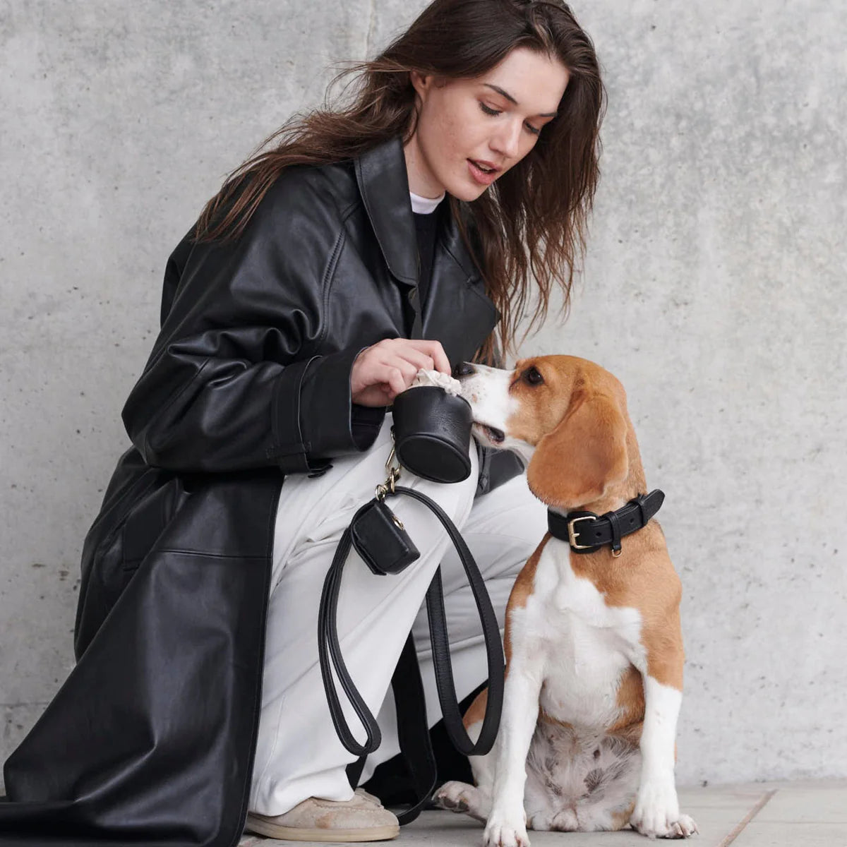 Laisse Premium Cuir Végan