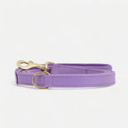 Laisse Premium Cuir Végan
