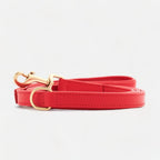 Laisse Premium Cuir Végan