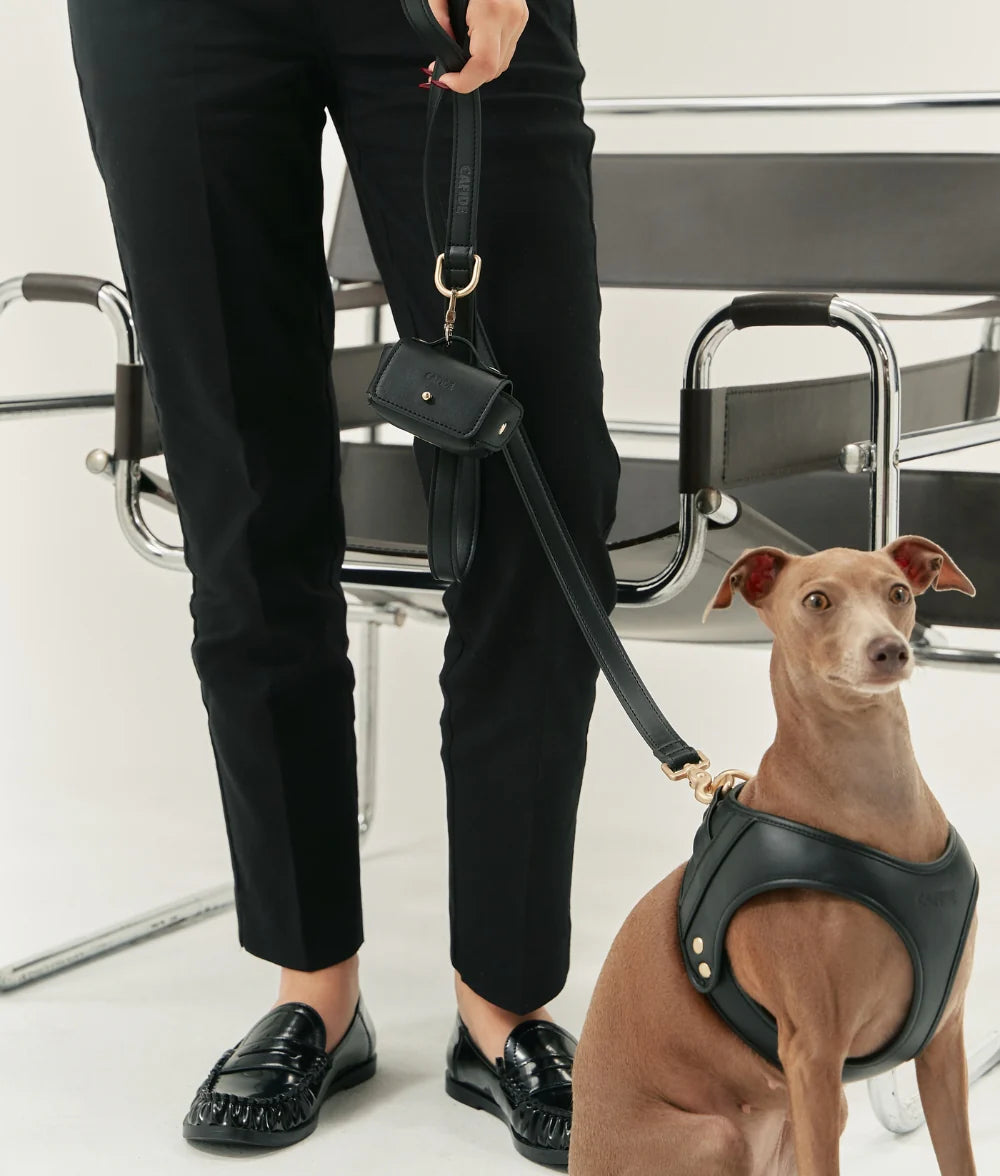 Harnais Cuir Vegan