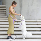 Set de Promenade Cuir Vegan